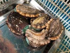 -兆辉木炭海鲜烧烤·海鲜小炒