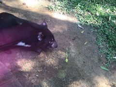 -可伦宾野生动物保护区