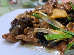 -春水锅贴·传统鲁菜(大明湖店)