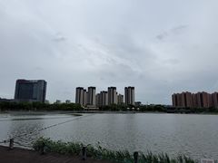 -映月湖中央公园