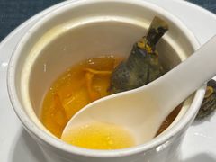 -聚春园自助餐厅(东街口店)