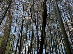 -竹泉村旅游度假区