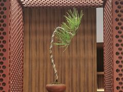 -二酉书店TOYOU BOOKS