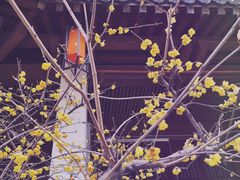 -香积寺