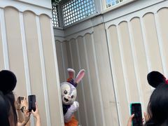 -小镇影院迪士尼小熊Duffy与他的朋友合影地