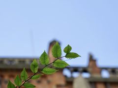 -上海佘山国家森林公园西佘山园