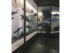 -南通博物苑-崇川人民公园