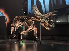 -墨尔本博物馆(Melbourne Museum)