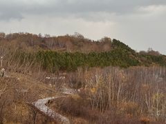 -御道口草原森林风景区