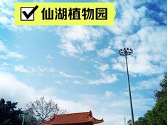 -深圳市中科院仙湖植物园