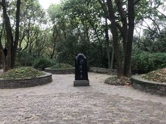 -上海佘山国家森林公园天马山园