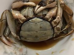 -黄记大闸蟹专卖店·活蟹·醉蟹