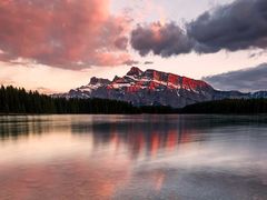 -小杨烤肉(朱雀店)