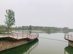 -东郊湿地公园