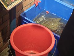 -状元甲·湖北甲鱼大王(汉口火车站店)