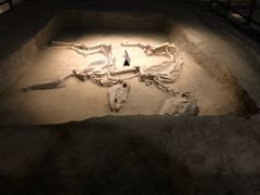 -洛阳周王城天子驾六博物馆