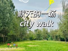 -白鹭湾湿地公园