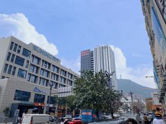 -深圳仙湖植物园