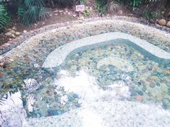 -天赐温泉