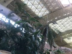 -杭州开元森泊度假乐园