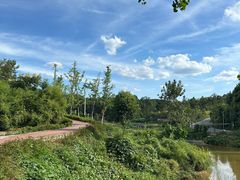 -铁山坪森林公园