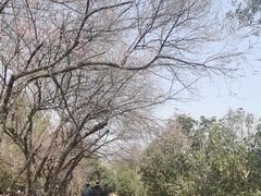-青龙山国家森林公园