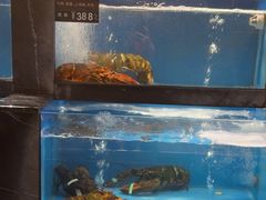 -百富源·海鲜辽菜(和平北大街店)