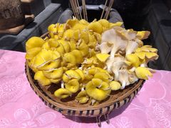 -滇铺子·云南特色菜·第九届野生菌美食节(东风东路c86店)