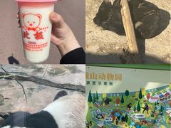 -二一九公园