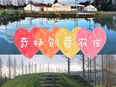 -前小桔亲子创意农场·草莓采摘·露营烧烤