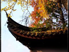 -秋霞圃