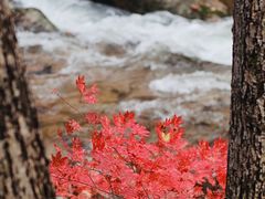 -丹东天桥沟景区