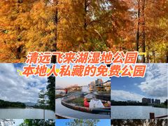 -飞来湖湿地公园