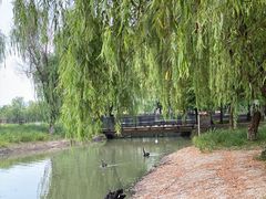 -西山漾湿地公园