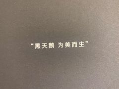 -BLACKSWAN黑天鹅(环球店)
