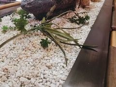 -何师傅美蛙鱼头(汉街店)