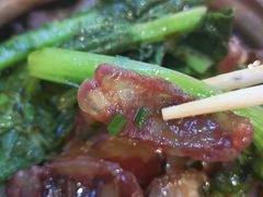 -广宁炭炉鸡煲·富临门饭店