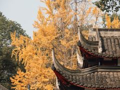 -成都市文殊院