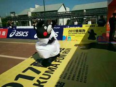 -太湖湖滨国家湿地公园-停车场