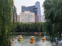 -团结湖公园