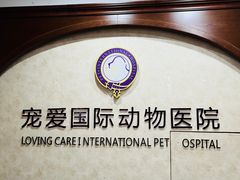 -宠爱国际动物医院· 猫科· 外科·中兽医(长白店)