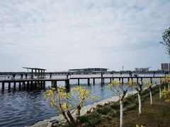 -天津金海湖