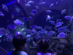 -成都浩海立方海洋公园