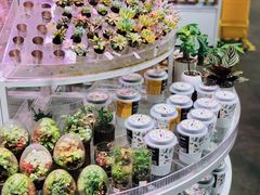 -KKV(深圳kk one 店)