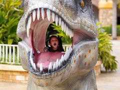 -世界恐龙谷景区