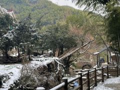 -莫干山风景区