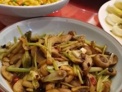 -金蝉食府(维吉奥广场店)