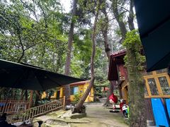 -生态园山庄(森林公园店)