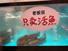-鱼酷活鱼烤鱼(静安大融城店)