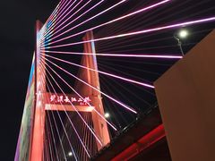 -武汉知音号